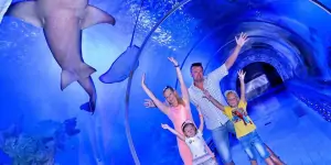 Hurghada Museum & Grand Aquarium Tour | Private Experience 